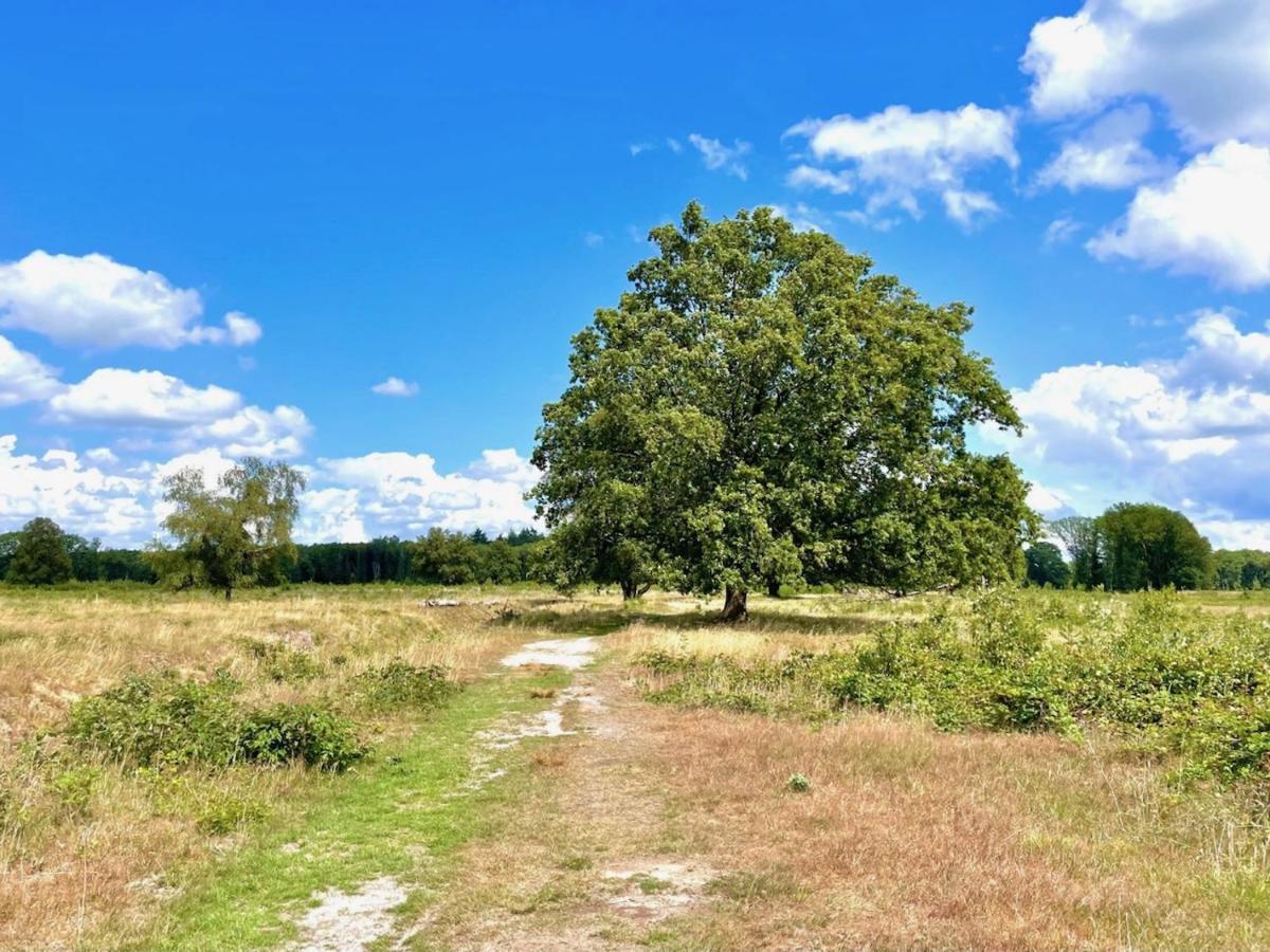 זאודלארן Buitenlust In Het Bos מראה חיצוני תמונה