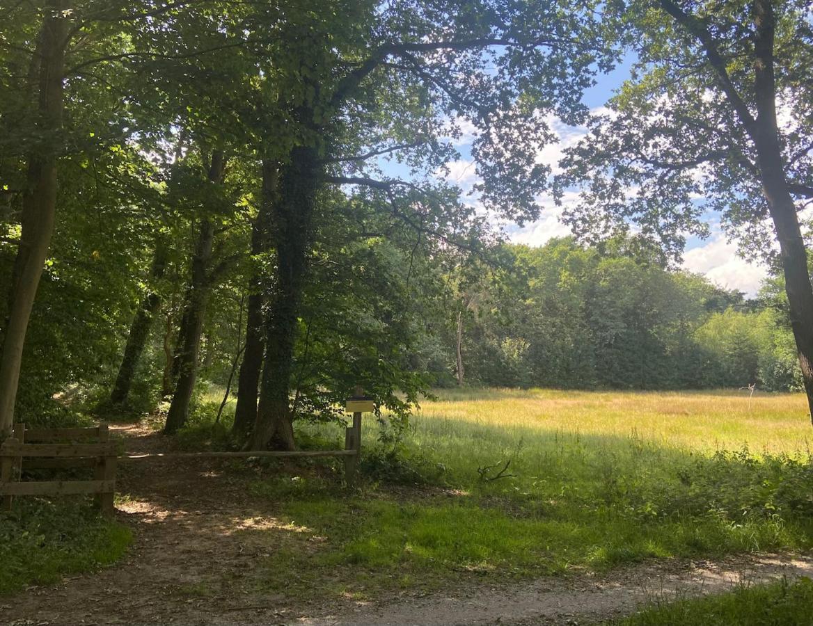 זאודלארן Buitenlust In Het Bos מראה חיצוני תמונה